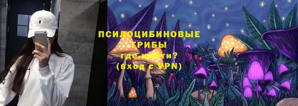 спиды Белокуриха