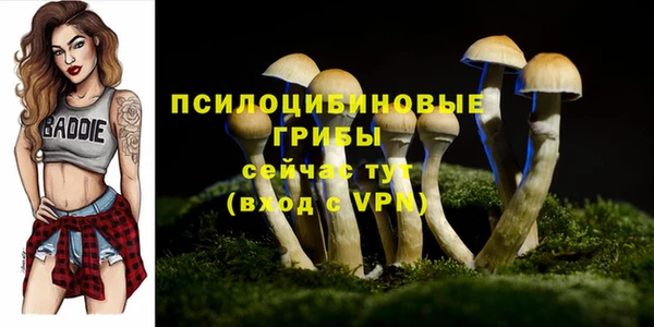 MDMA Беломорск