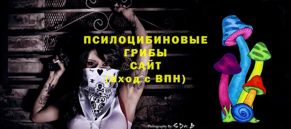 спиды Белокуриха