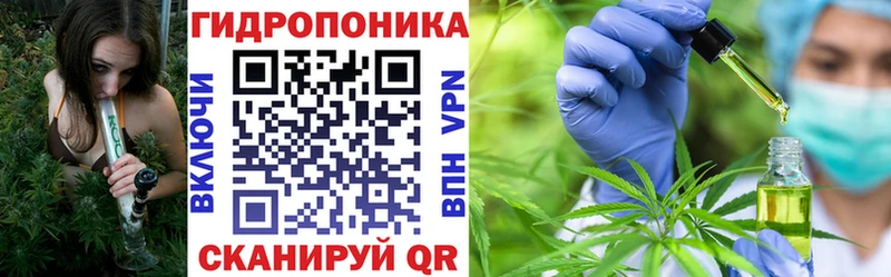 Каннабис VHQ Губкин