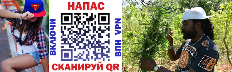 Купить закладки  Губкин  Каннабис SATIVA & INDICA 